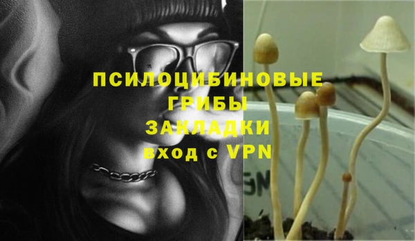 а пвп мука Белокуриха
