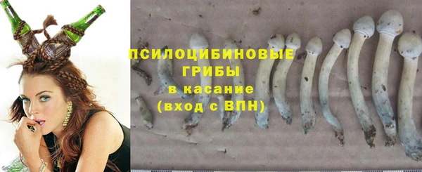 а пвп мука Белокуриха