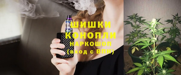 гашик Белоозёрский