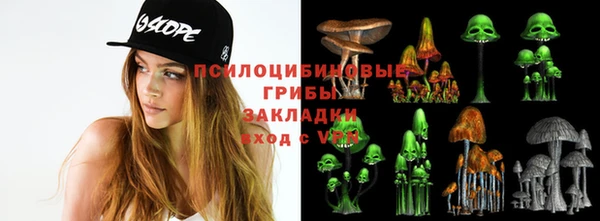 ПСИЛОЦИБИНОВЫЕ ГРИБЫ Беломорск