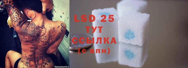 гашик Белоозёрский
