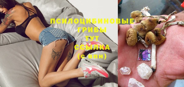 ПСИЛОЦИБИНОВЫЕ ГРИБЫ Беломорск