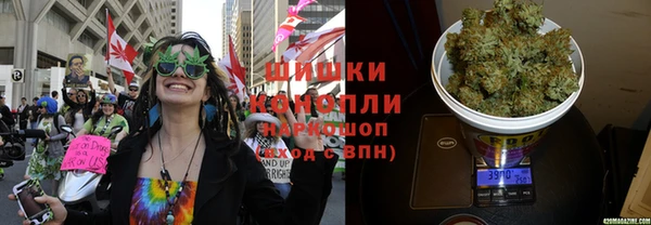 ПСИЛОЦИБИНОВЫЕ ГРИБЫ Беломорск