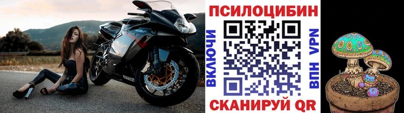 Галлюциногенные грибы Psilocybe  Малая Вишера 